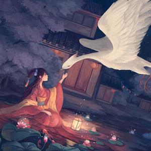 观看免费AV无码不卡
